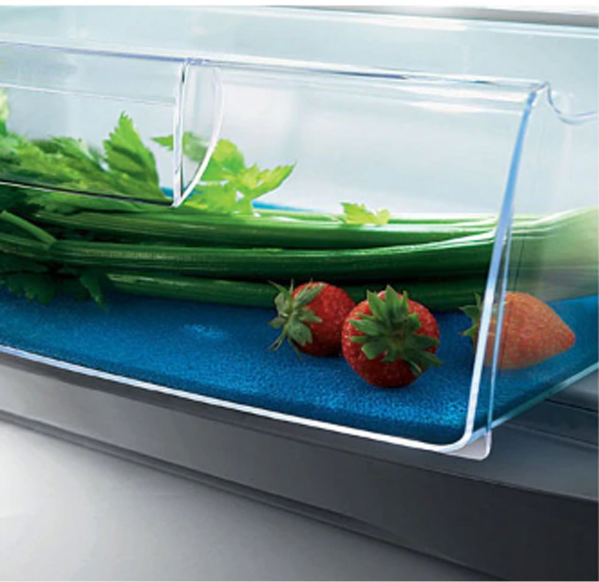 ELECTROLUX Tappetino Antimuffa per Frigoriferi